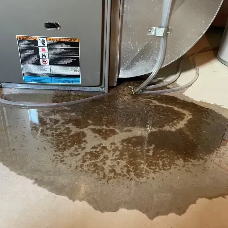 Appliance Leak Cleanup in Plainfield, IL